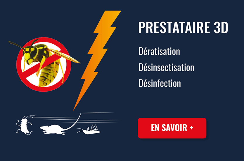 Prestataire 3D en Vendée
