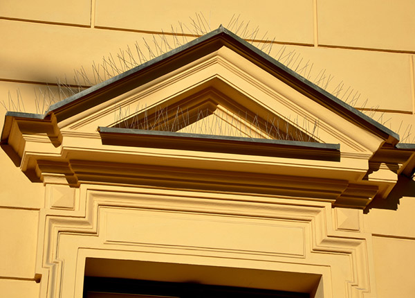 0-Protection-des-batiments-contre-les-volatiles-1