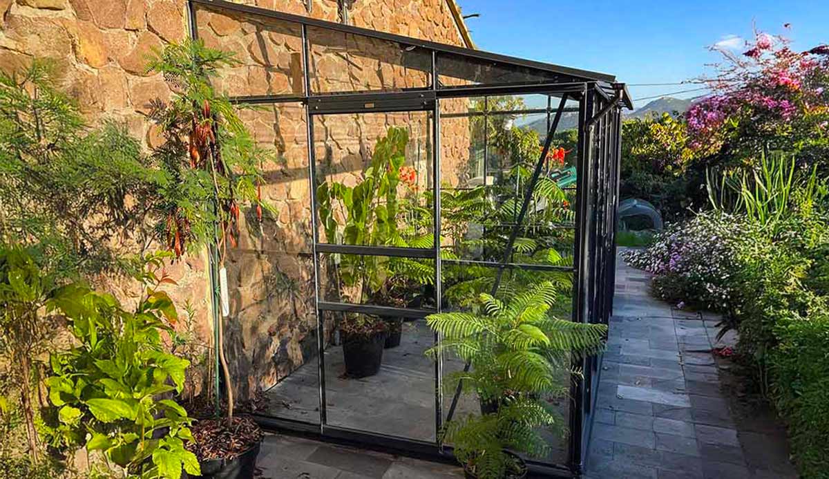 Serre-LAMS-adossé-à-un-mur